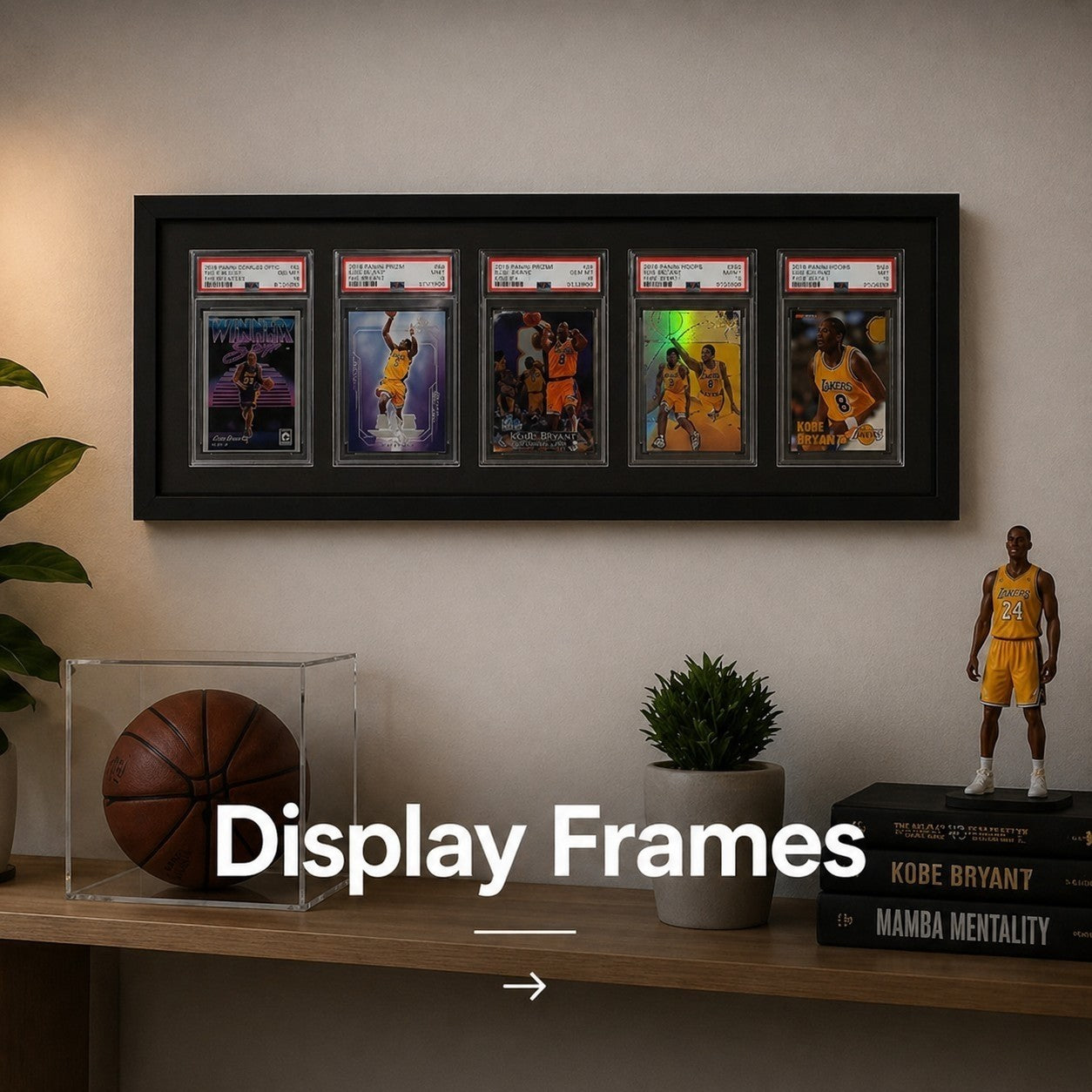 Display Frames